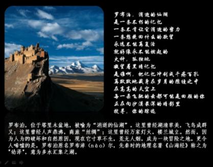 危险的社会