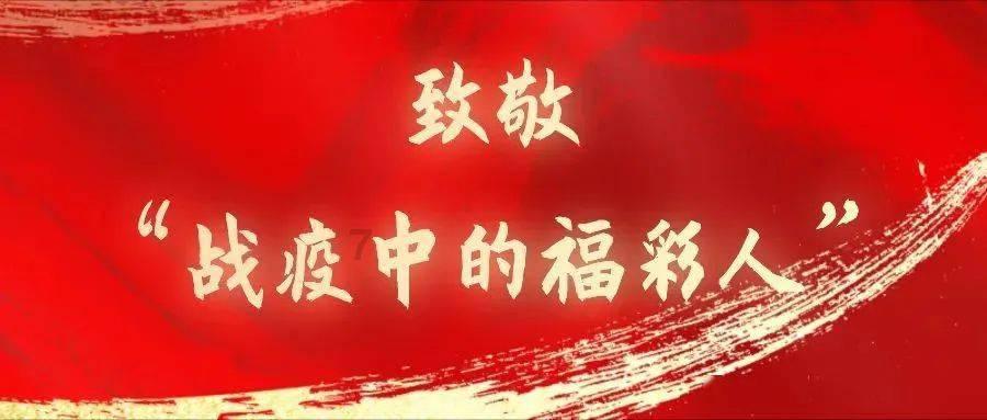 动物拼一拼
